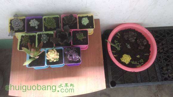 IMAG0253.jpg