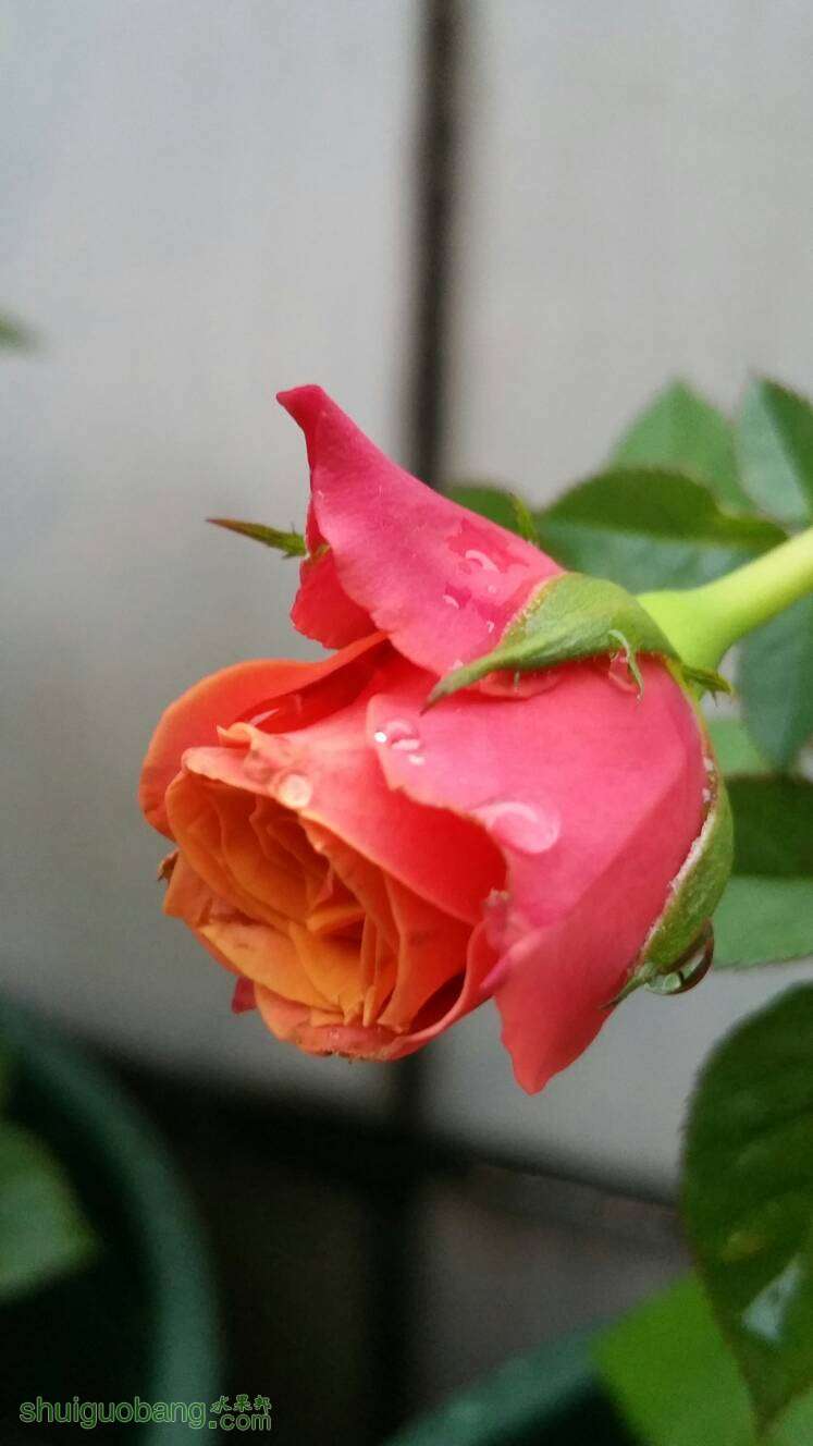 192014f003n32k55r9o444.jpg