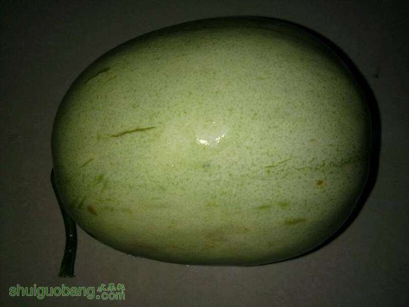 204343tjt0o0wk2d1swis7.jpg