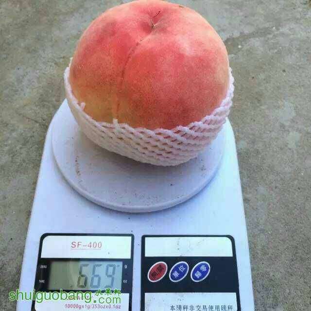 005920o25fookojov937vo.jpg