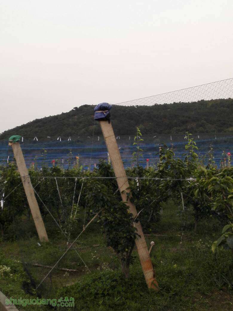 110509z3gqpofwhsf78f8f.jpg