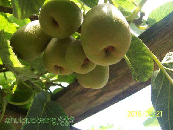 100_0926.JPG