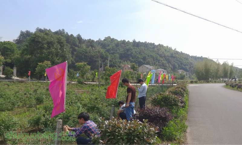 201024thbi6kgwiuuwk6b6.jpg