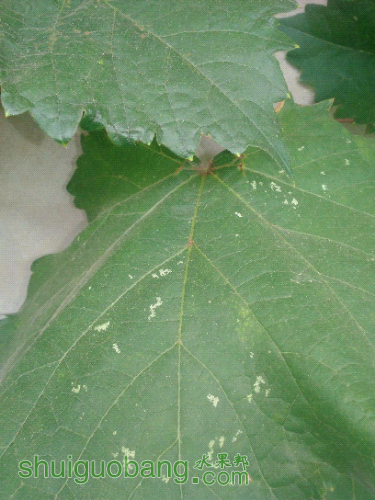 IMG_20160504_123439.jpg