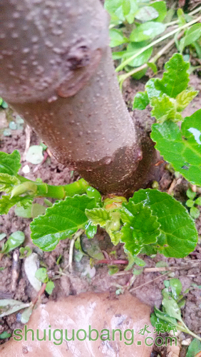 20160522_180157_mh1463911810887.jpg