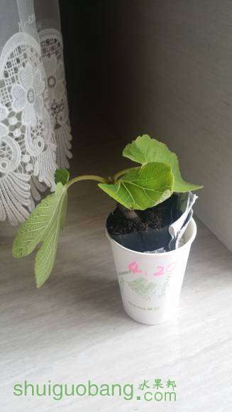 20160421_122639.jpg