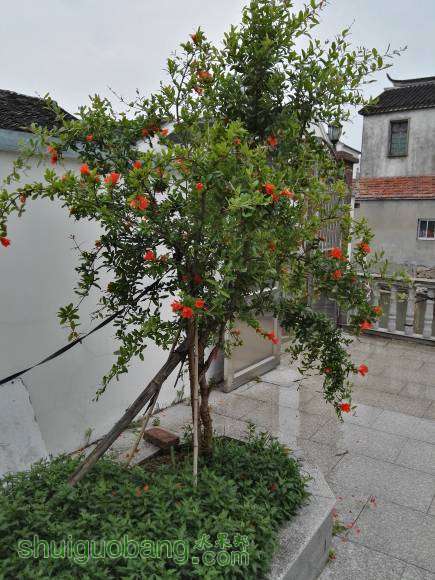 Ƭ 005.jpg