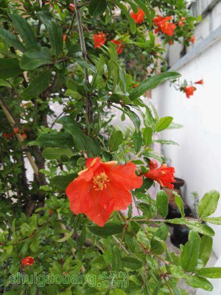 Ƭ 008.jpg
