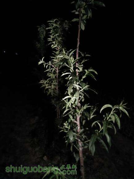 IMG20160507212019.jpg
