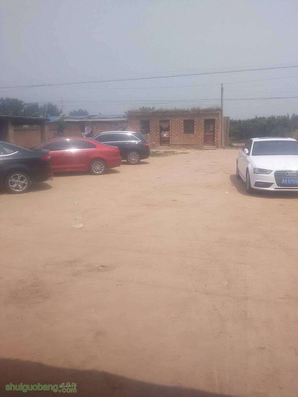 175734nkwmawo2knzurnyo.jpg