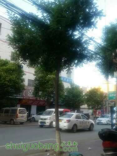 UC_Photo_001.jpg