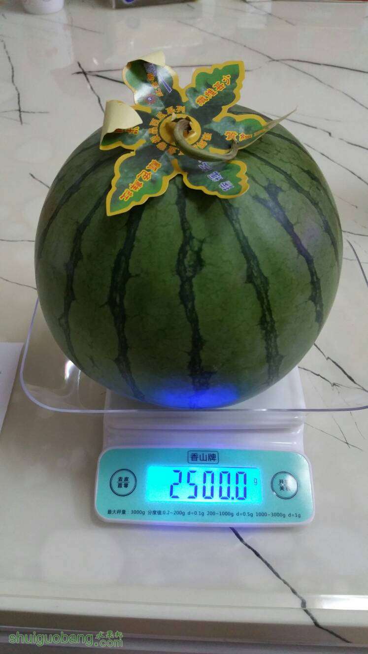 001047lalhlaytz52ngzls.jpg