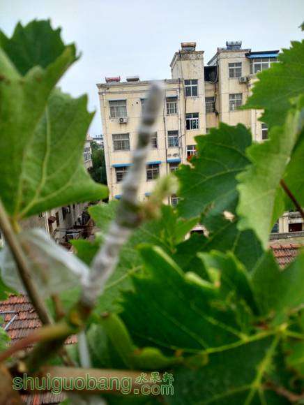 IMG_20160523_183809_HDR_.jpg