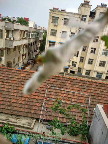 IMG_20160523_183837_HDR_.jpg