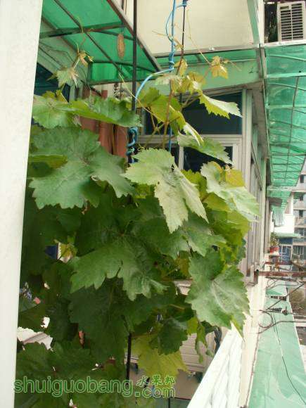 PICT8637.JPG