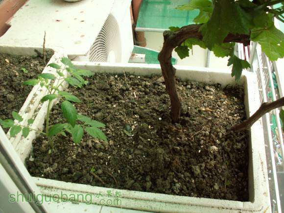 PICT8639.JPG