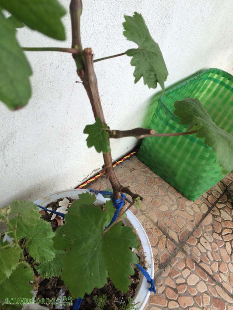 092005vb50z0neb4n8z944.jpg