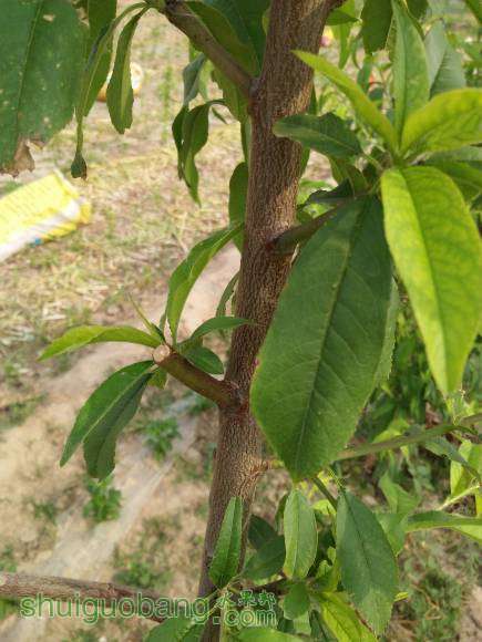 IMG20160522154829.jpg