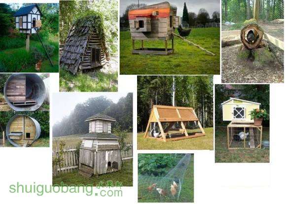 chicken coop.JPG