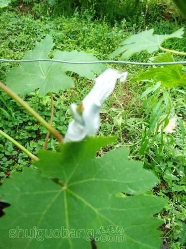 IMG20160525111354.jpg
