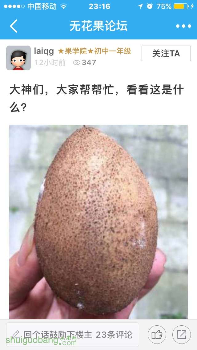 231718q1454fu4muz5m1aa.jpg
