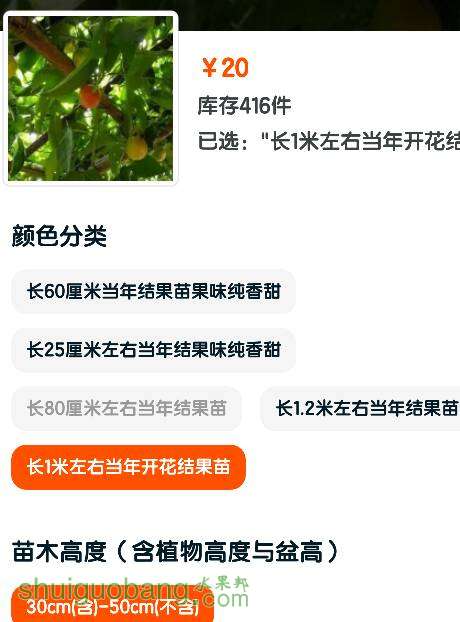 095504ml24cliebwehyttk.png