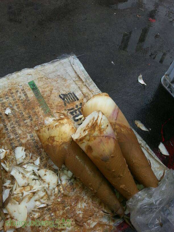 083543pxerji71jjkkgkdy.jpg