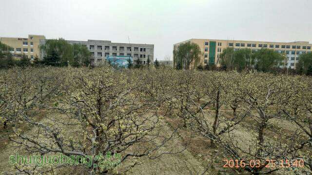 143517ygmlrm5qmms5trqt.jpg