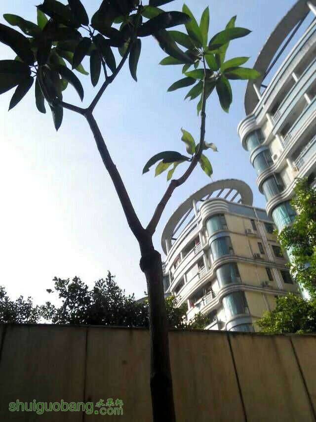 233328j1q3078181tww70v.jpeg