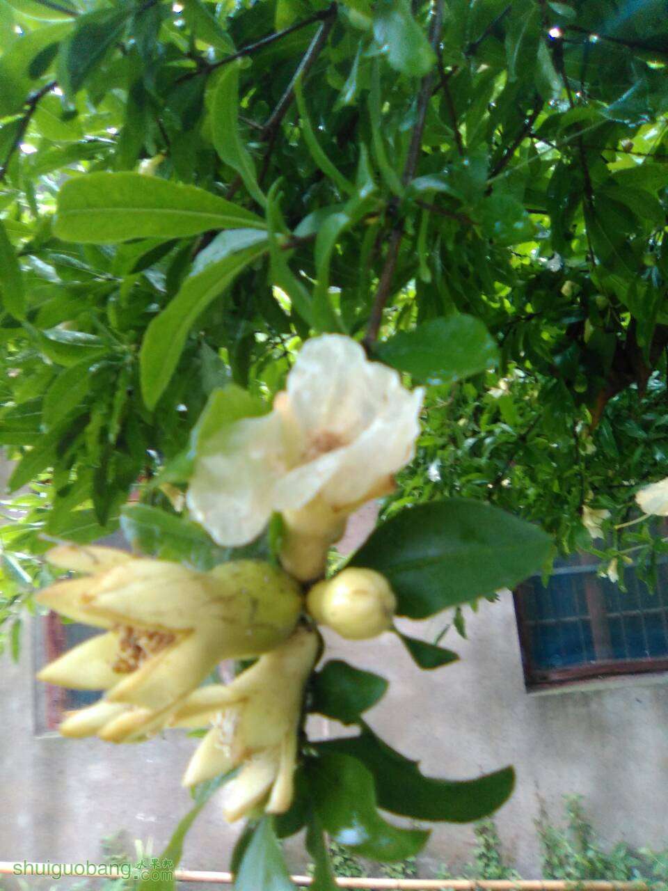 100349wn5ixvy9enkyfy48.jpg