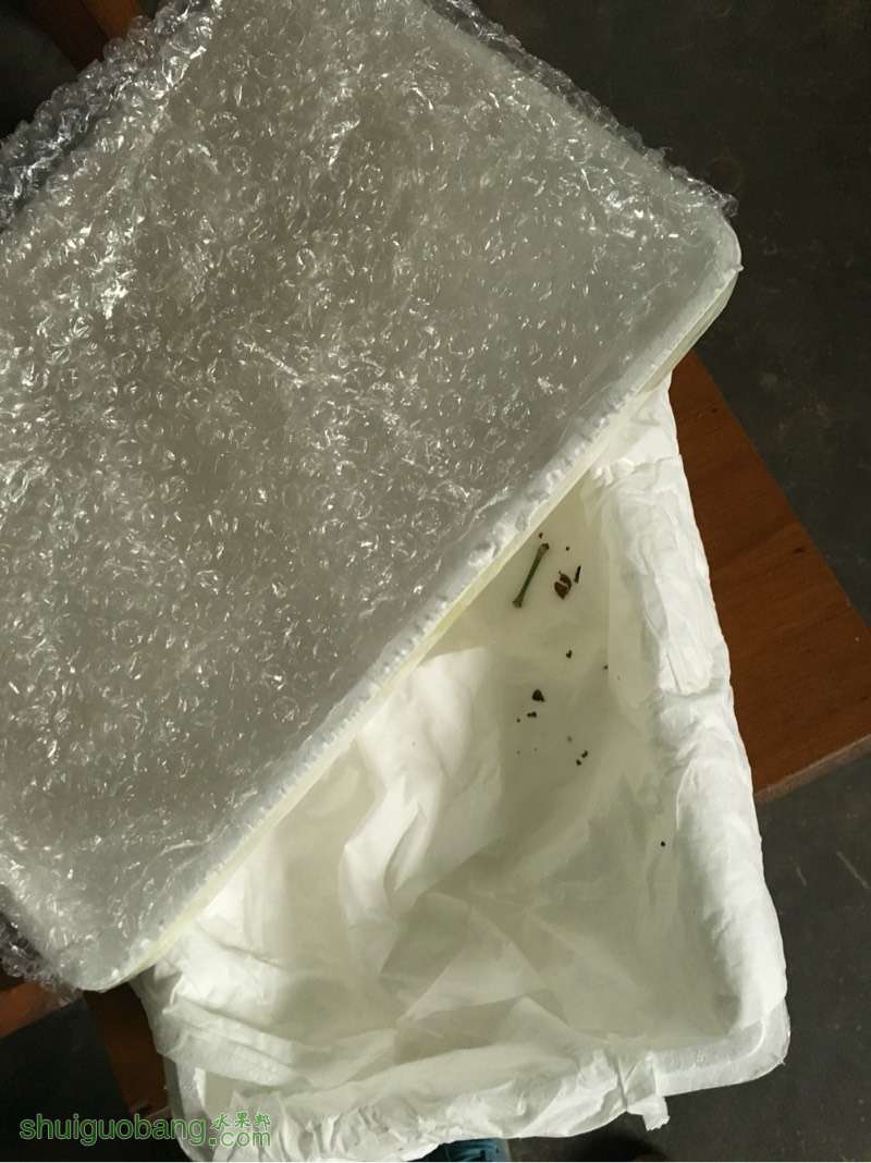 123553jl3ozym26eal2oz7.jpg
