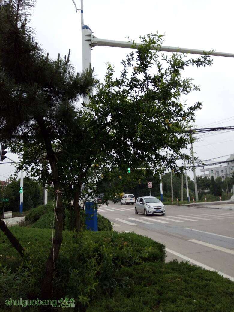 161031s3innchwzx3p35wr.jpg