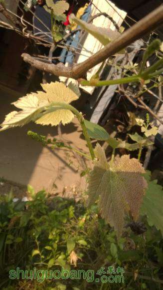 WP_20160315_002.jpg