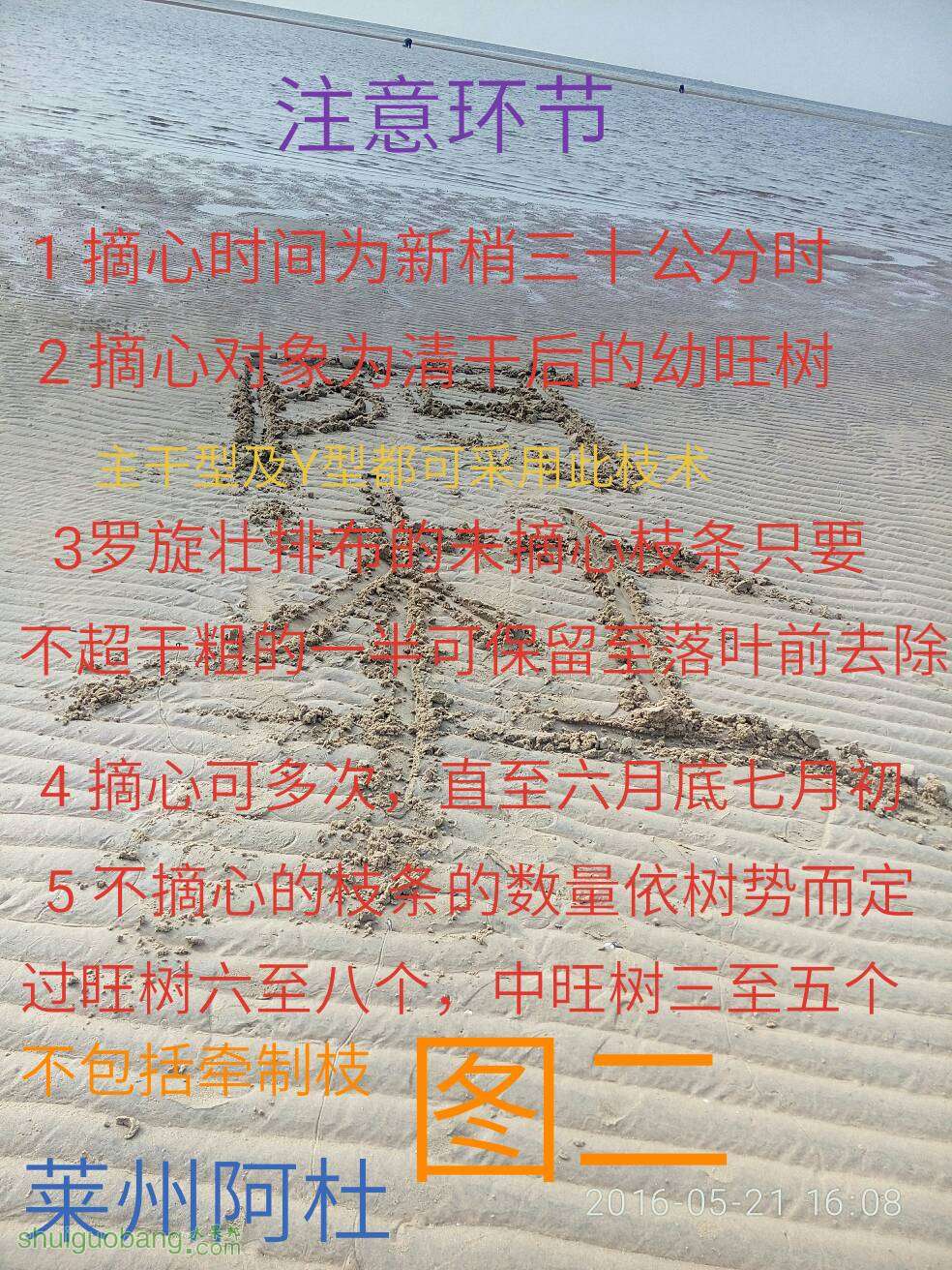 111055ys0xlrqk08rz3k88.jpg