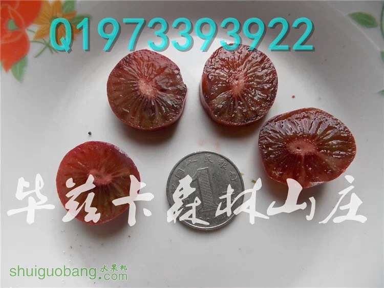 122800qtn65zj335mcj67m.jpg