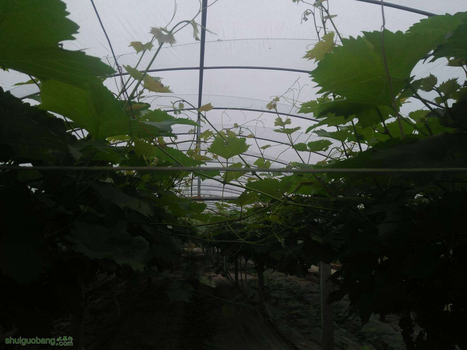 122953s7hgvbk7ne493w94.jpg