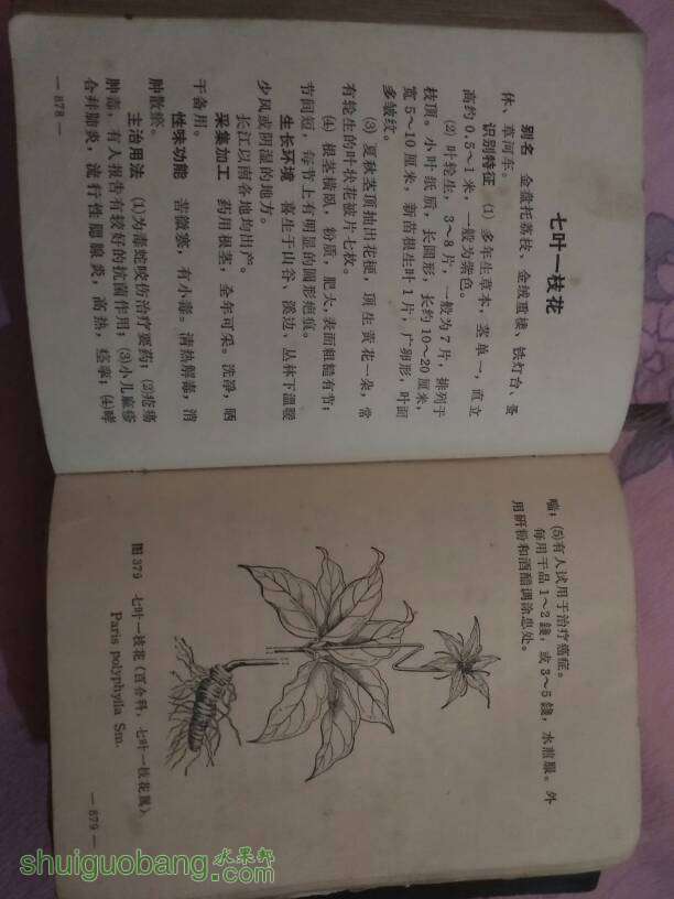 141722p53gc51n03pwckcc.jpg