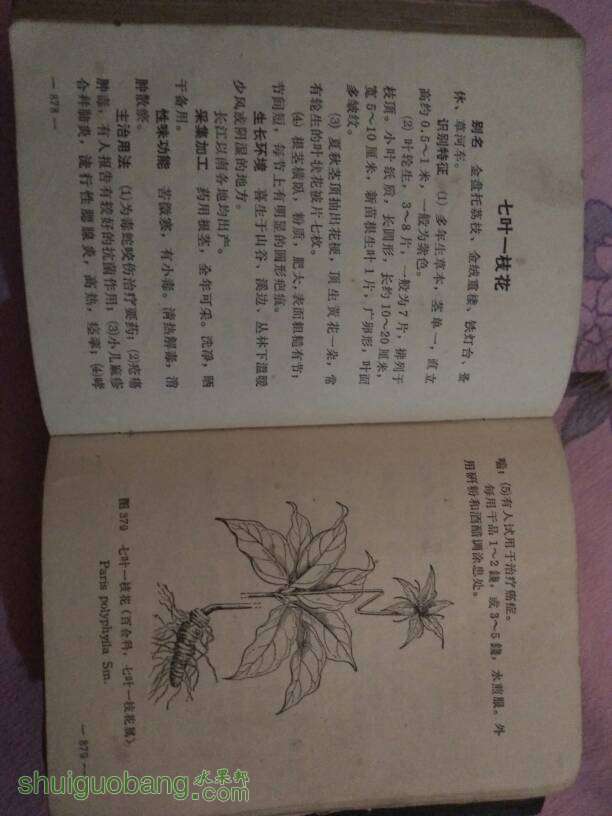 141722tqjvhqifuzj8dher.jpg