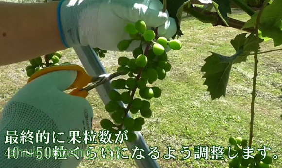 QQͼƬ20160531102554.png