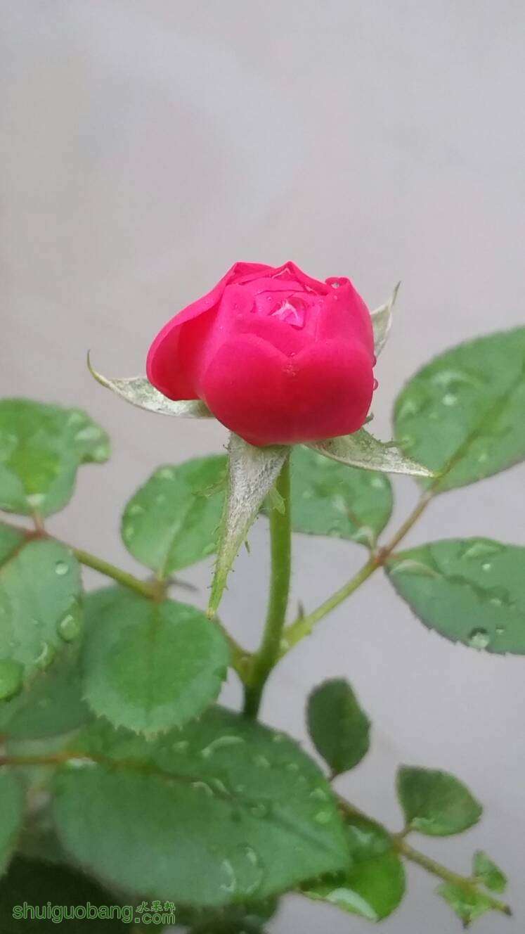 114541kqmgksrita7ngojc.jpg