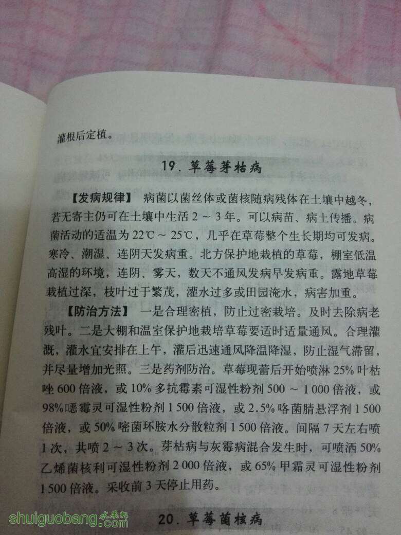 205912s72hk2ubn7mqzikz.jpg