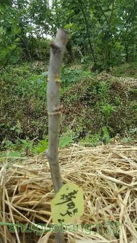 20160510_125720.jpg