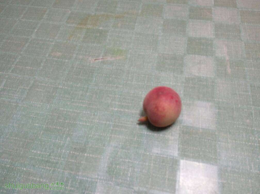 123435q776qehnlembfdeb.jpg