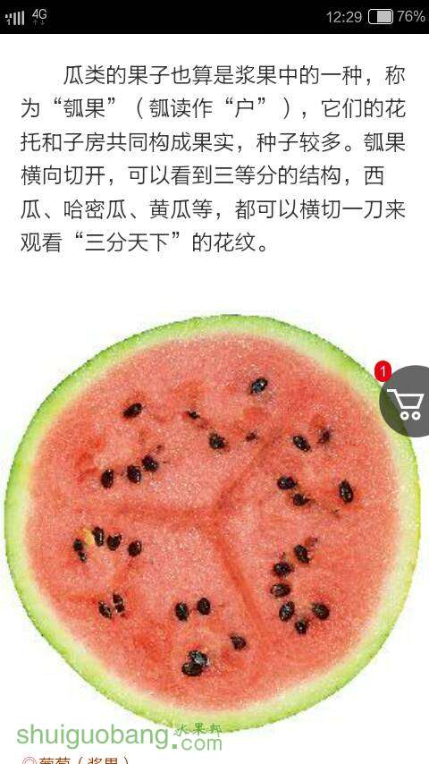 124431be86qq48njqyotr6.png