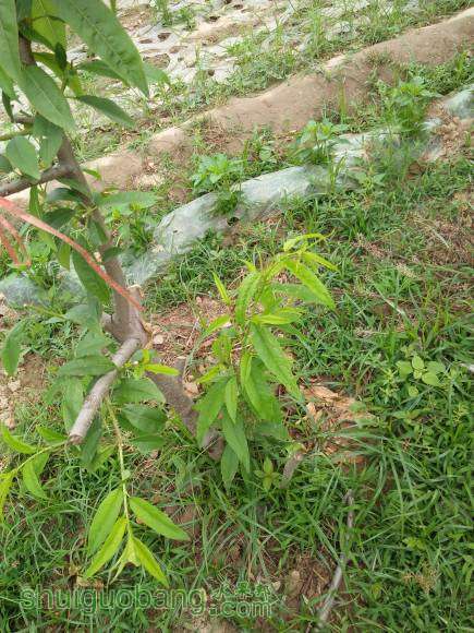 IMG20160529123117.jpg