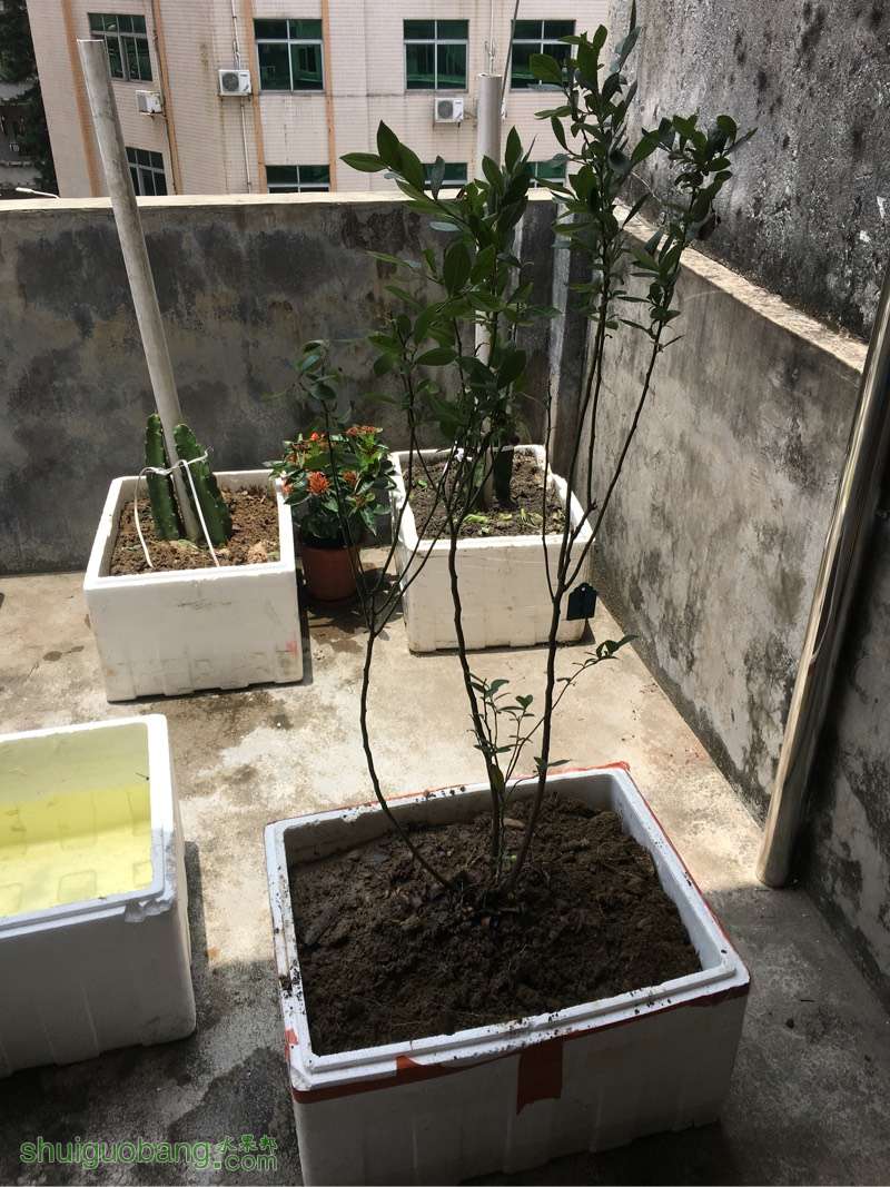 120721op9lbsttibdu6pxy.jpg