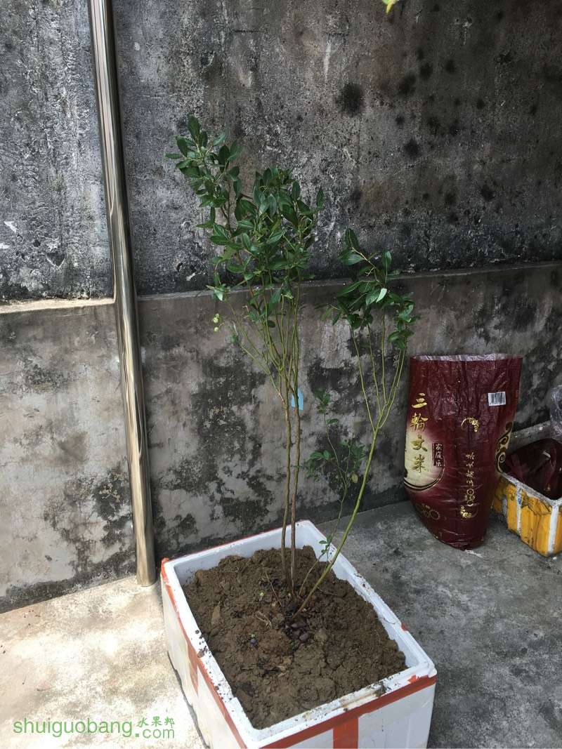 120722pv1bmtdm6md7mvxr.jpg