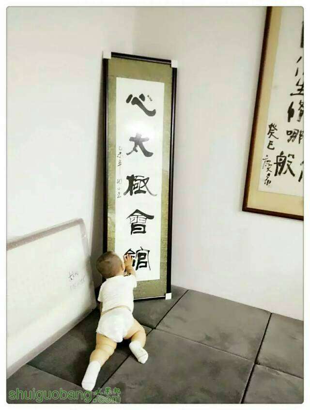 150243e6c6af0kb2b8fcfc.jpg