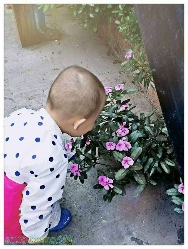 150244vqojgpw8bj1ghqyy.jpg