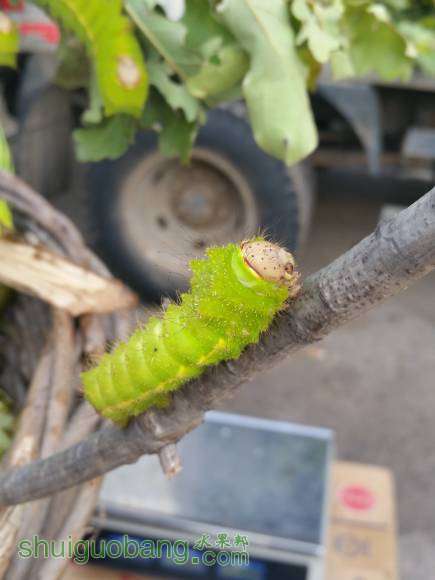 20150913_063010.jpg